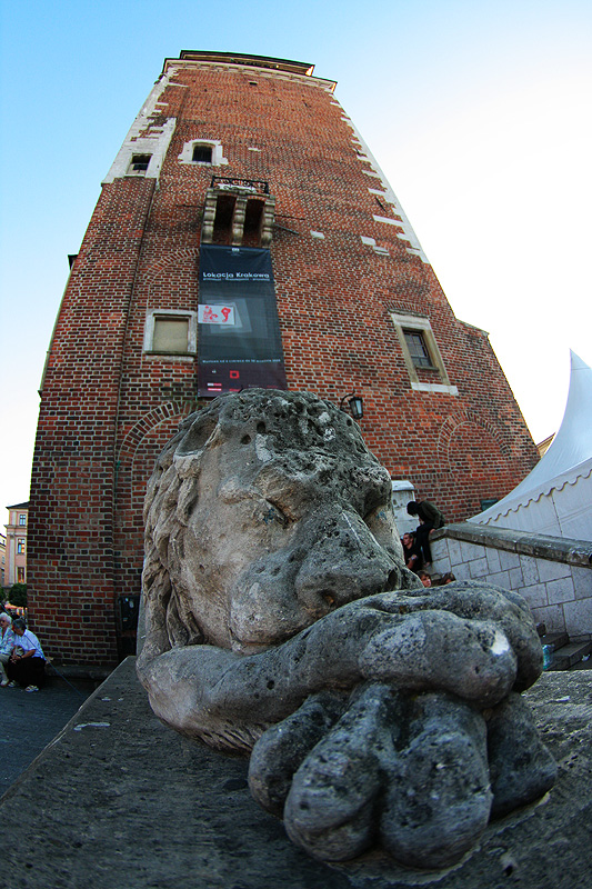 Lew przed wie ratuszow - wiea ratuszowa krakw, wejcie do wiey ratuszowej, lwy na rynku krakowskim