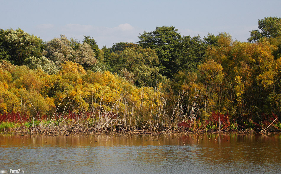 Kolory jesieni nad wod - jesie, kolorowe drzewa
