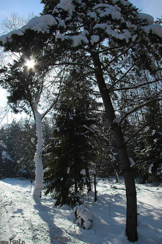 Zimowy Czorsztyn, Niedzica - zdjęcia z czorsztyna, zimowe fotografie niedzica, zdjęcia gór, góry zimą