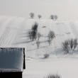 zdj�cie chaty z czorsztyna, zimowy domek - Zimowa chatka