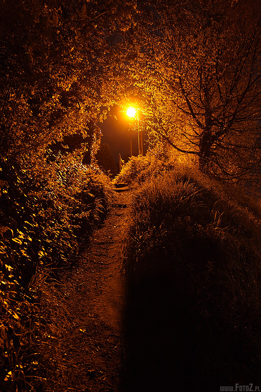Ciemna drka - Devizes, Wiltshire, Anglia, noc, przejcie