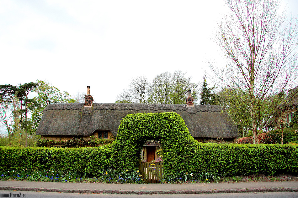 Chatka strzech kryta - Lacock, Wiltshire, domki pokryte sianem, wie, natura, przyroda