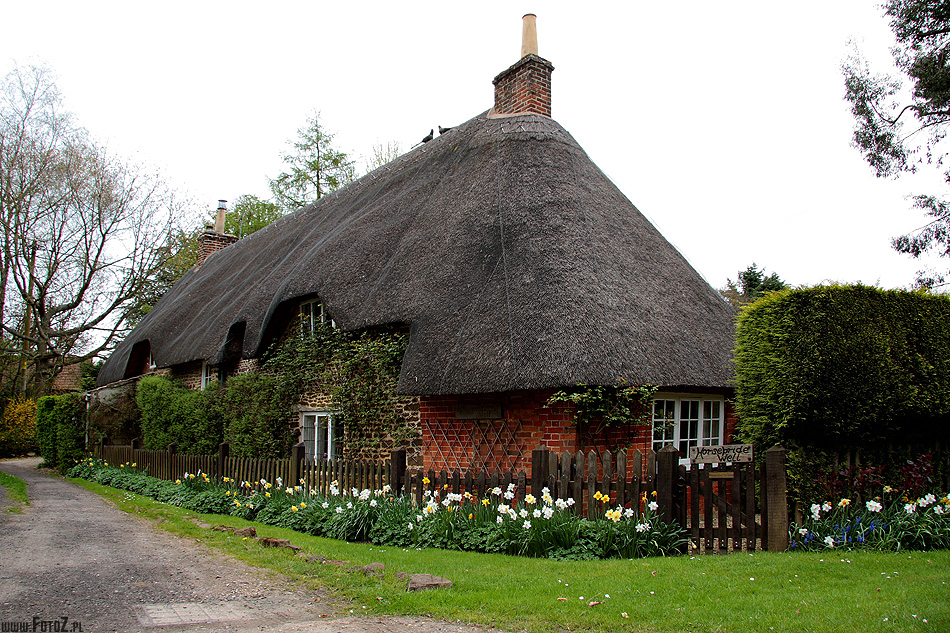 Malownicza wie - Lacock, Wiltshire, domki pokryte sianem, wie, chatki strzech kryte