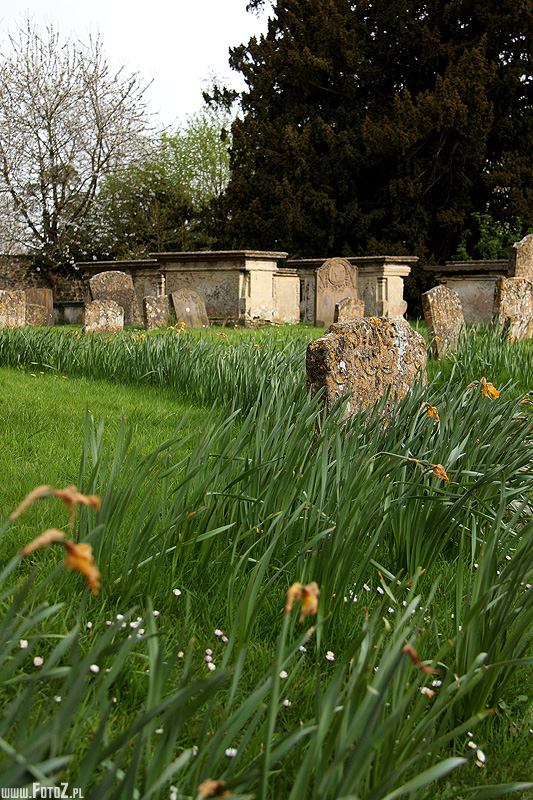 Cmentarz - Lacock, groby, pomniki, ziele