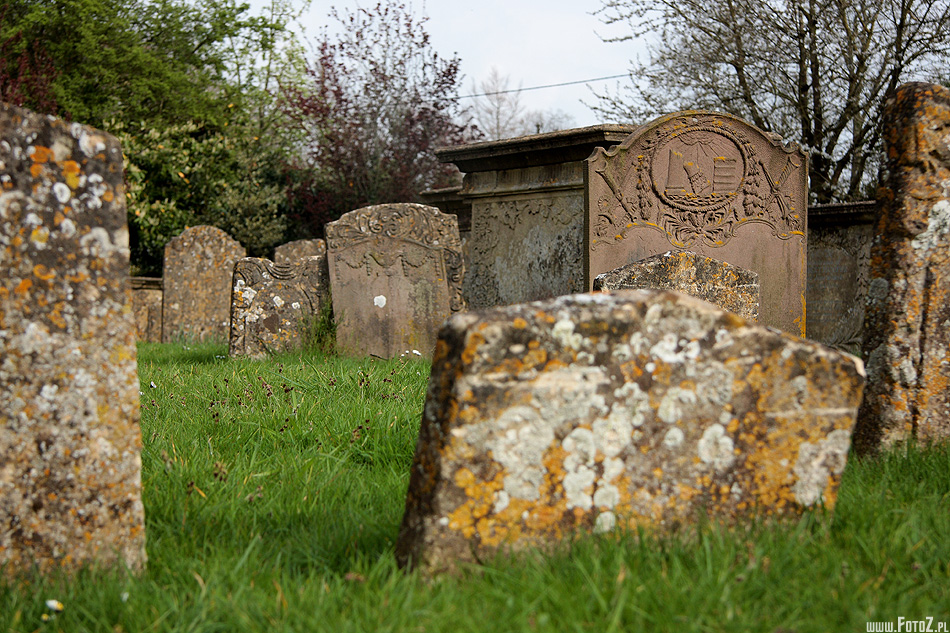 Cmentarzysko Dusz - Lacock, groby, pomniki, ziele