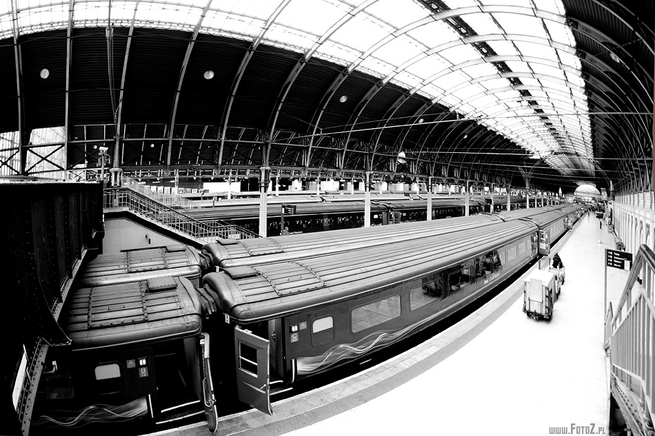 Paddington Station  - Londyn, komunikacja, stacja kolejowa, pociąg, transport,  London, architektura, nowoczesne budowle, peron