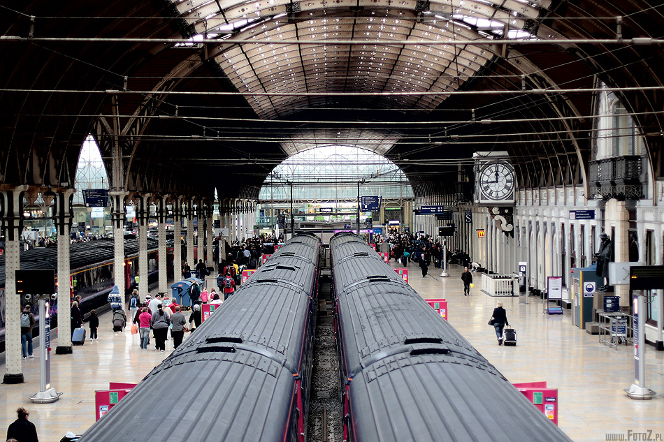Paddington Station - Londyn, komunikacja, stacja kolejowa, pociąg, transport,  London, architektura, nowoczesne budowle, peron
