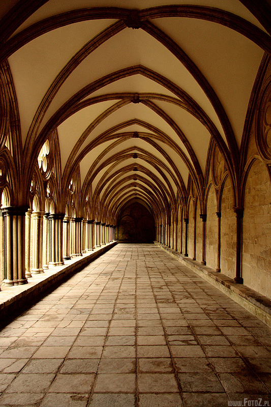 Sklepienia - Salisbury, Katedra, gotycka świątynia, anglikański Kościoł, gotycka architektura