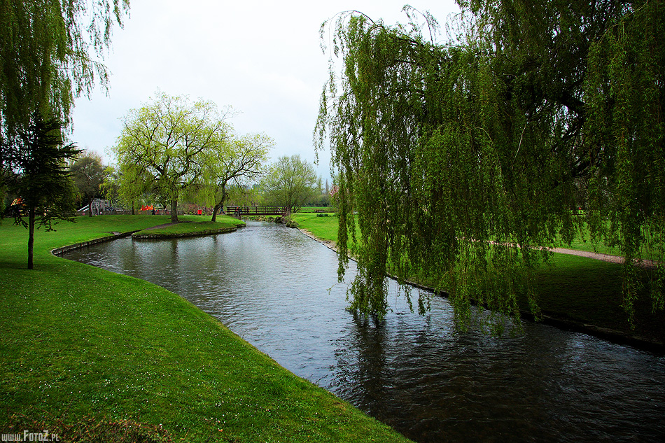 Zieleń miejska - Salisbury, rzeka, most, przyroda, zieleń miejska, drzewa, park