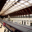 Londyn, komunikacja, stacja kolejowa, poci�g, transport,  London, architektura, nowoczesne budowle, peron - Paddington Station