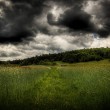 pole na jurze krakowsko-cz�stochowskiej - Mroczne pole