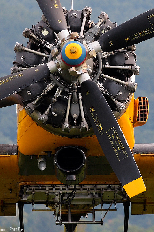 Silnik dromadera - zdjcie silnika samolotu