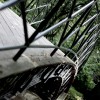 zdj�cia z parku w Pszczynie, fotografie Pszczyna - Park w Pszczynie