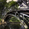 park w Pszczynie, zdj�cia Pszczyny - Park w Pszczynie