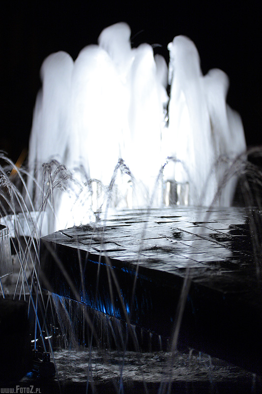 Fontanna koło Reksia - fontanna nocą, lodowy błękit wody