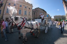 dorożki na rynku w krakowie, przejazd dorożką w krakowie, powóz krakowski - Dorożka na rynku