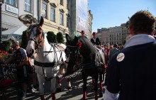 dorożki na rynku w krakowie, przejazd dorożką w krakowie - Krakowska dorożka