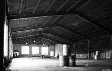 zdjęcia z kozubnika, zdjęcia ruin, ruiny, krajobraz postindustrialny - Kozubnik, Por±bka