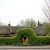 Lacock, Wiltshire, domki pokryte sianem, wieś, natura, przyroda - Chatka strzechą kryta