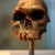 czaszka, czlowiek - Czaszka człowieka starożytnego
