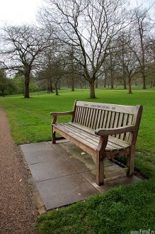 hyde park london, park w londynie, natura, zieleń, przyroda, malowniczy - Romantyczna ławeczka