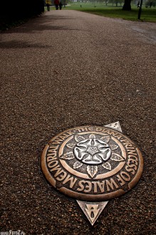 hyde park london, park w londynie, natura, zieleń, przyroda, malowniczy - Ku pamięci Księżnej Dianie
