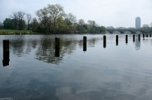 hyde park london, park w londynie, natura, zieleń, przyroda, malowniczy, jezioro - Zachwycająca tafla jeziora Serpentine