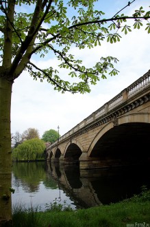 hyde park london, park w londynie, natura, zieleń, przyroda, malowniczy, most, rzeka, jezioro - Odbicie lustrzane