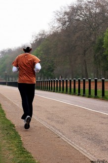 hyde park london, park w londynie, natura, przyroda, malowniczy, dróżki, ścieżka, droga, szlak komunikacyjny - Szlak sportowców