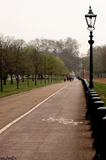 hyde park london, park w londynie, natura, przyroda, malowniczy, dróżki - Ścieżka rowerowa