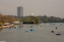 hyde park london, park w londynie, natura, przyroda, malowniczy, zwierzęta, ptaki - Widok z mostu