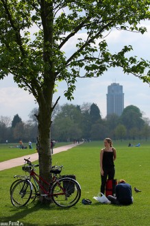 hyde park london, park w londynie, natura, przyroda, malowniczy, zwierzęta, ptaki,pejzaż, krajobraz - Na łonie natury