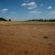 rozległe pole piaskowe na jurze krakowsko-częstochowskiej - Suche pole
