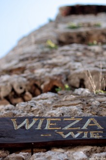 wiea zamkowa w ogrodziecu - Wiea