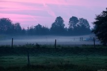 pole we mgle, poranna mgła, wschód słońca - Jesienny poranek