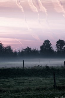 wschód słońca z mgłą - Mgliście