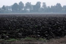 zdjęcie pola uprawnego we mgle - Mgliście i ponuro