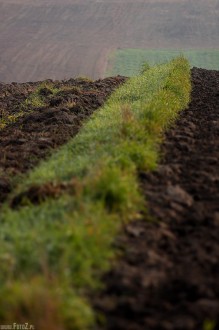 zdjęcia krajobrazu rolniczego - Krajobraz rolniczy