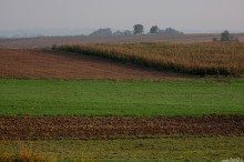 kolorowe pole, jesień w polu - Jesienne pole