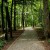zdjcia z parku w Pszczynie, fotografie Pszczyna - Park w Pszczynie