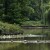 zdjcia z parku w Pszczynie, fotografie Pszczyna - Park w Pszczynie