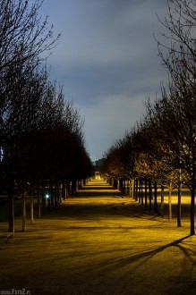 zdjęcie paryskiej alejki, aleja w parku - Parkowa alejka